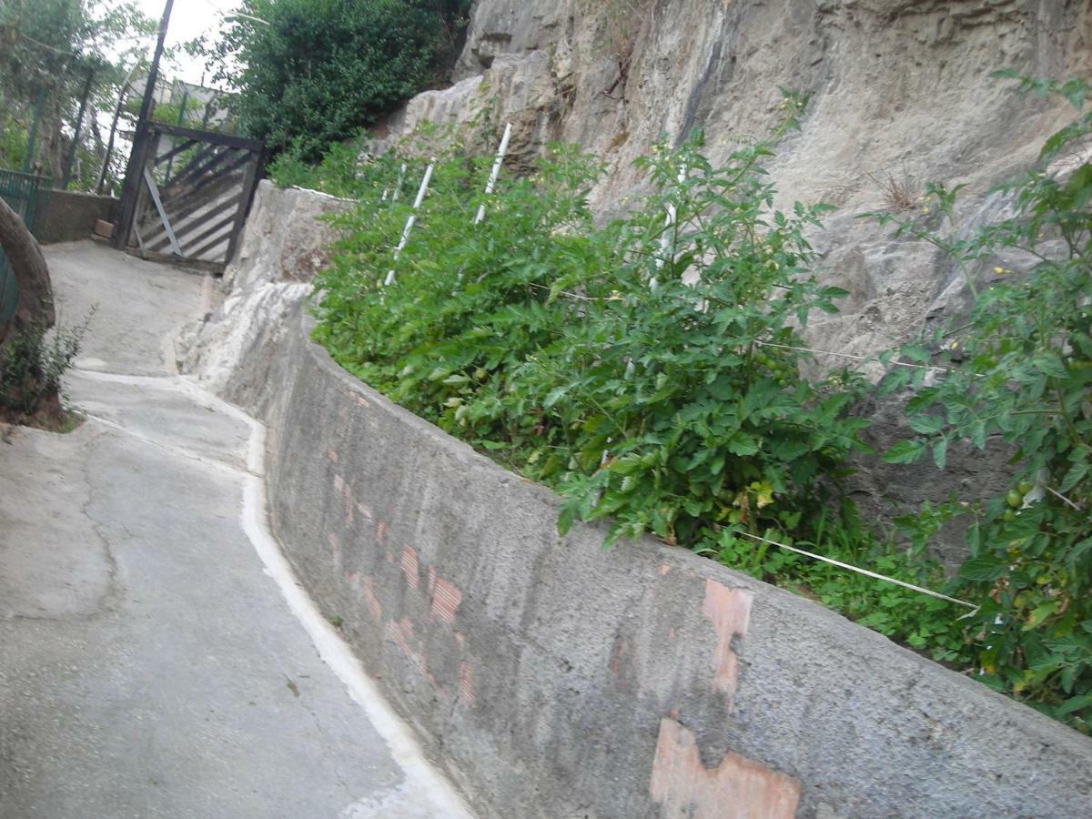 B&B L'Arcobaleno Sorrento Kültér fotó