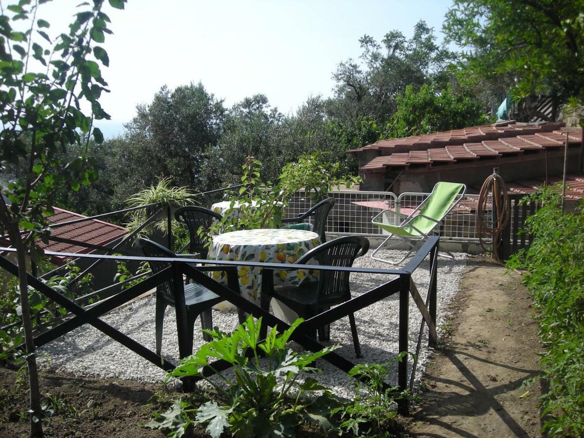 B&B L'Arcobaleno Sorrento Kültér fotó