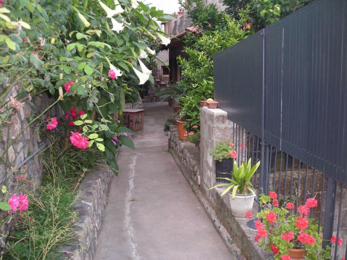 B&B L'Arcobaleno Sorrento Kültér fotó