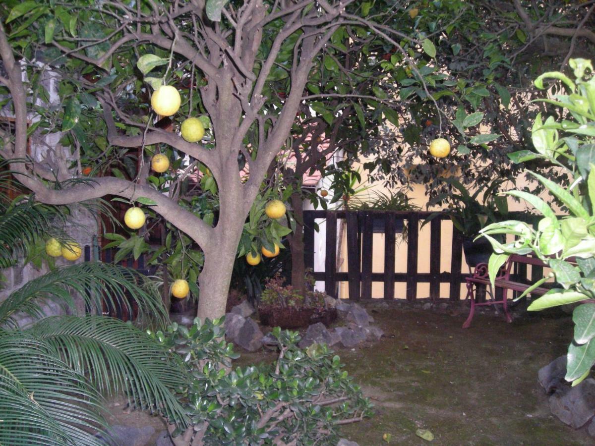 B&B L'Arcobaleno Sorrento Kültér fotó