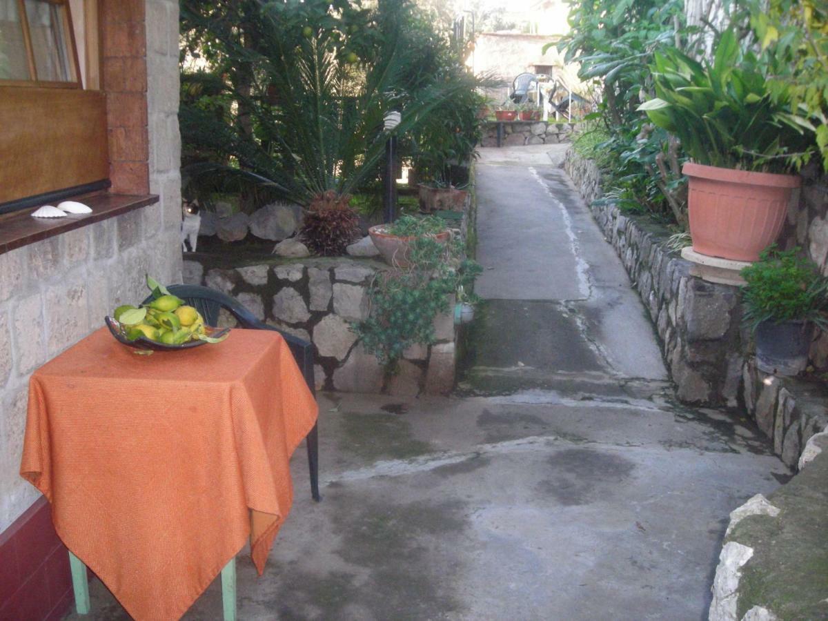 B&B L'Arcobaleno Sorrento Kültér fotó