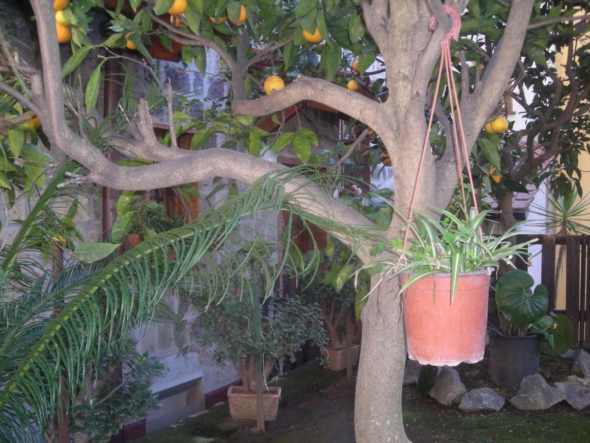 B&B L'Arcobaleno Sorrento Kültér fotó