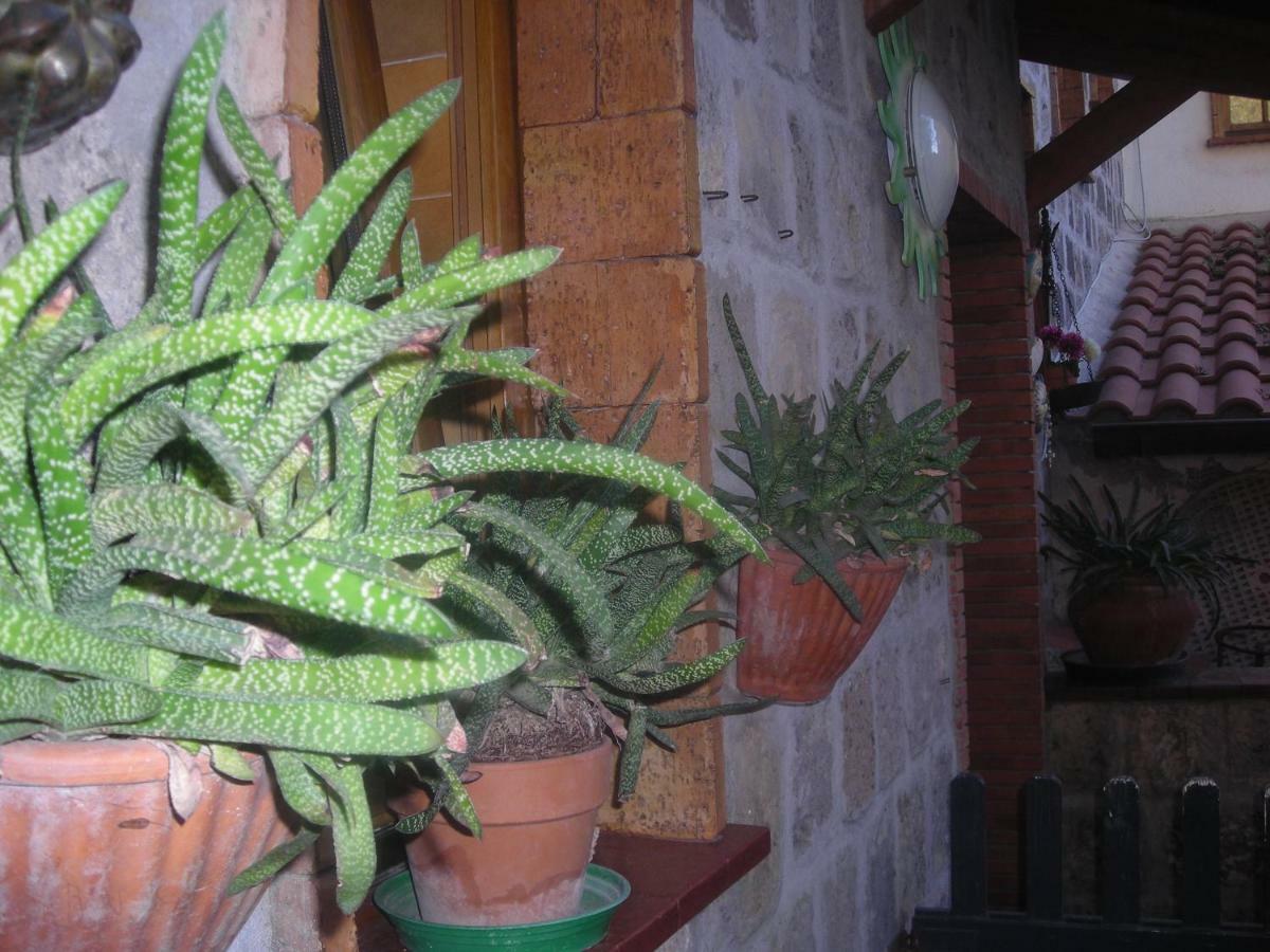 B&B L'Arcobaleno Sorrento Kültér fotó