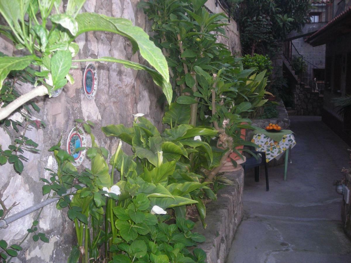 B&B L'Arcobaleno Sorrento Kültér fotó