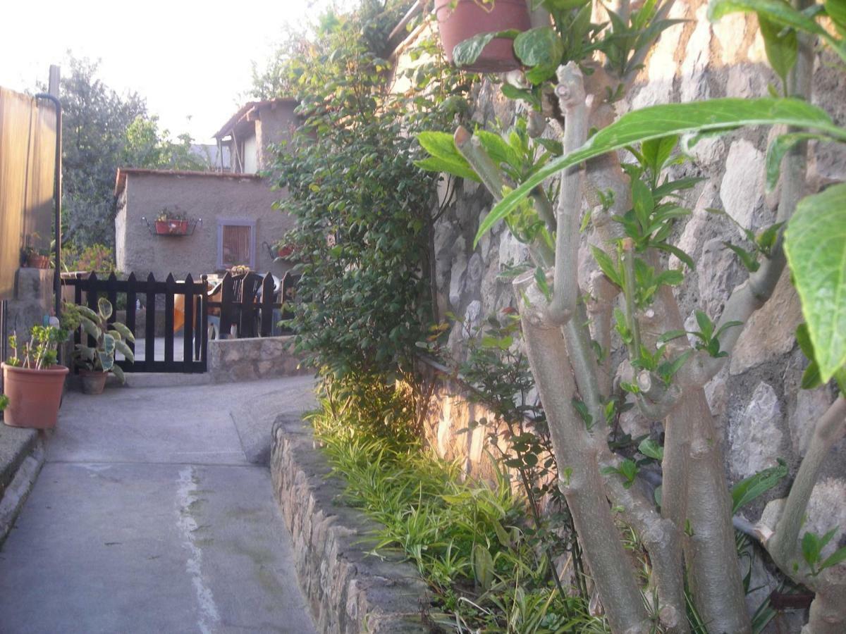 B&B L'Arcobaleno Sorrento Kültér fotó