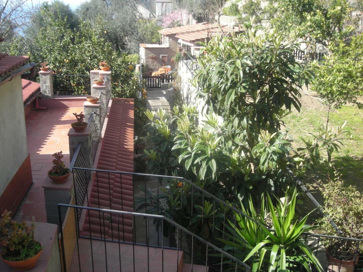 B&B L'Arcobaleno Sorrento Kültér fotó